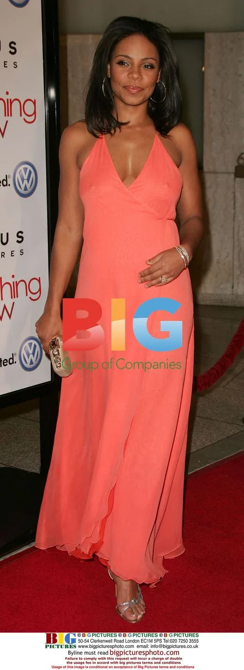 Sanna Lathan at 'Something New' Premiere