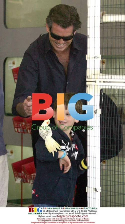 Pierce Brosnan with sons at pet store
