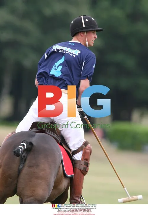 Princes William and Harry playing polo