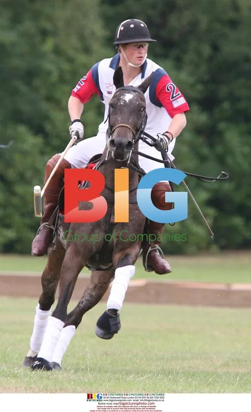 Prince William and Prince Harry Play Opposing Polo