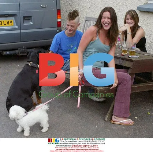 Joss Stone takes dogs for walk