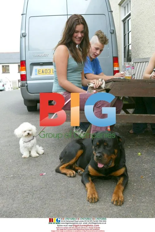 Joss Stone Takes Her Dogs for a Walk