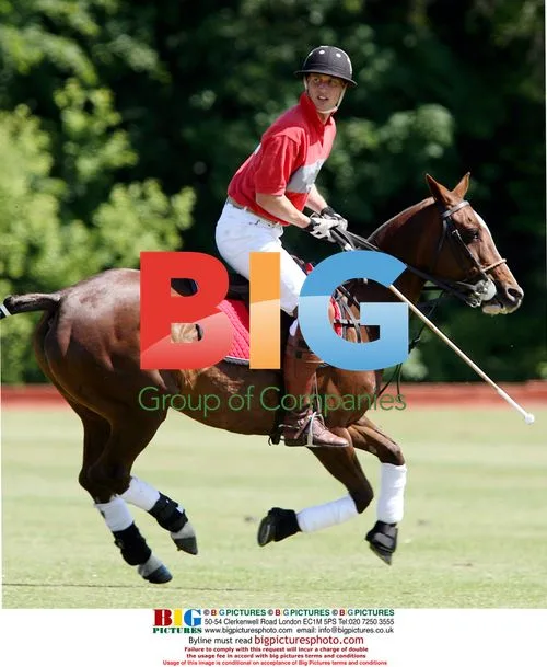 Prince William Plays Polo