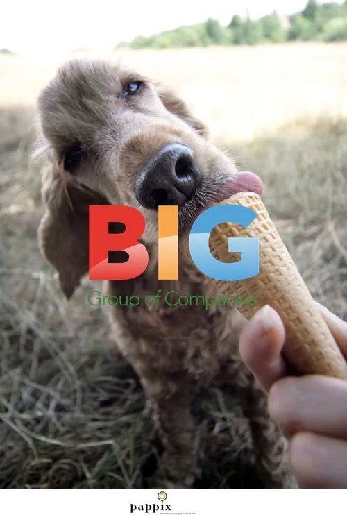 Amber the Cocker Spaniel Enjoys Ice Cream