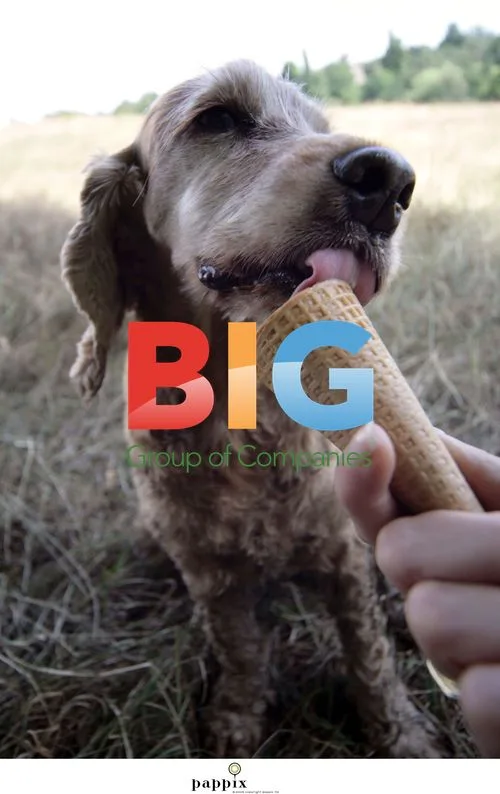 Amber the Cocker Spaniel Enjoys Ice Cream