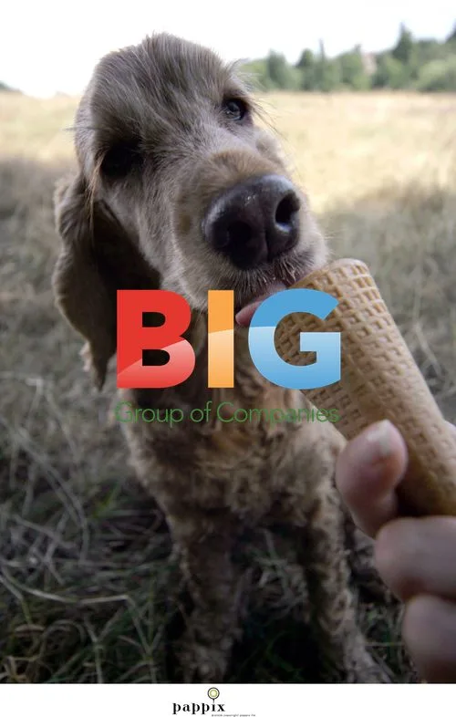 Cocker spaniel Amber eats ice cream