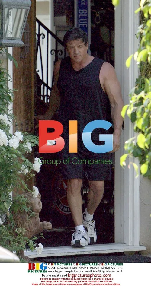 Sly Stallone Reprises Rocky in Buff Form
