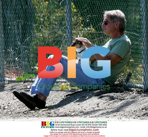 Harrison Ford with Dogs in Brentwood Park