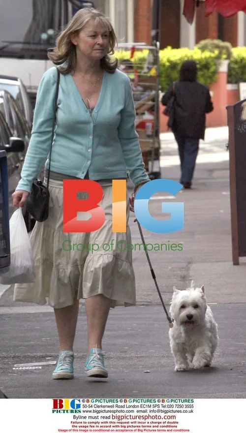 Sue Cook walks dog in North London