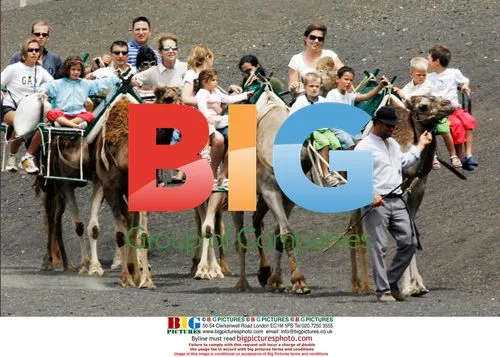 Spanish and Greek Royals Enjoy Camel Ride in Lanzarote