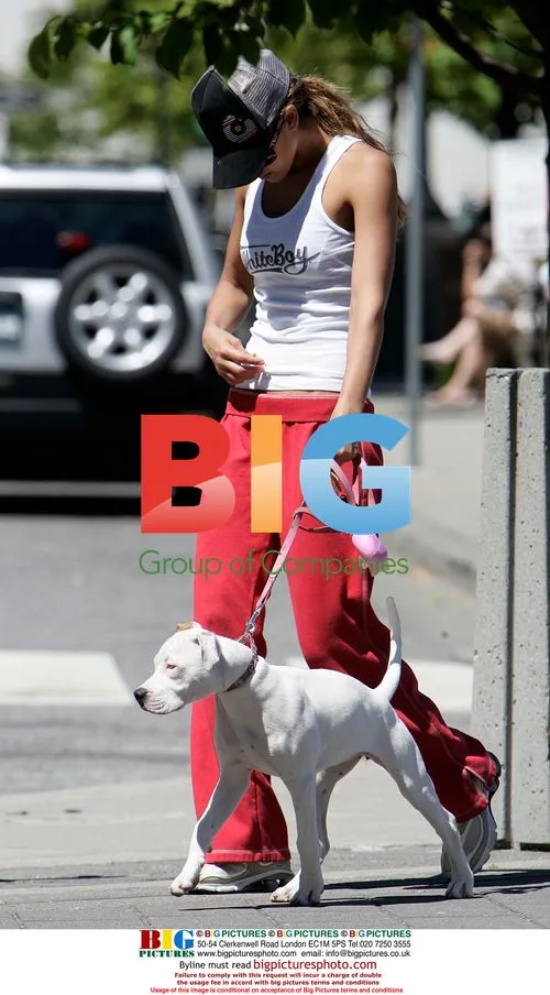 Jessica Alba Plays with Puppy in Vancouver