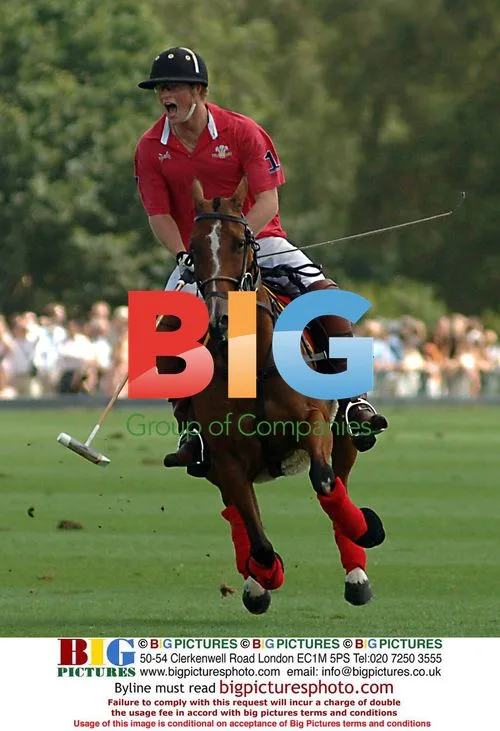 Prince Harry at Polo Match