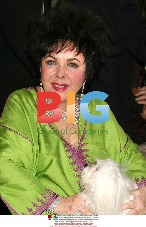 Elizabeth Taylor on CNN's Larry King Live