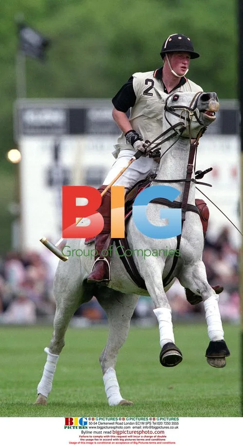 Prince Harry at Polo Cup
