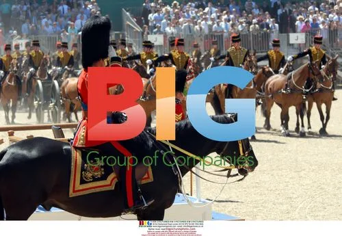 HRH The Prince of Wales at Colonels Review