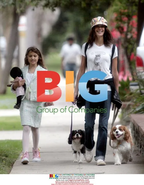 Teri Hatcher and daughter Emerson walk dogs in LA