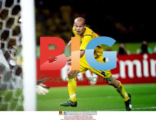 Sweden's Ljungberg in World Cup action