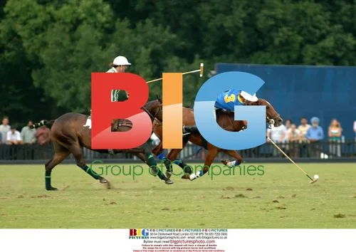 Polo Match at Queen's Cup Final