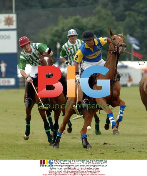 Adolfo Cambiaso and Gareth Evans compete in The Queen's Cup final