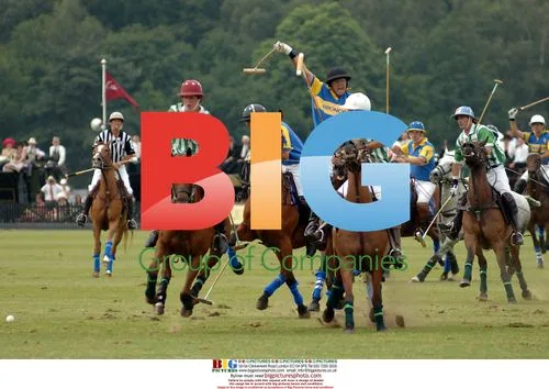 The Queen's Cup Polo Final at Windsor