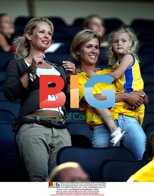 Zlatan Ibrahimovic's girlfriend and Sweden teammate's wife chat