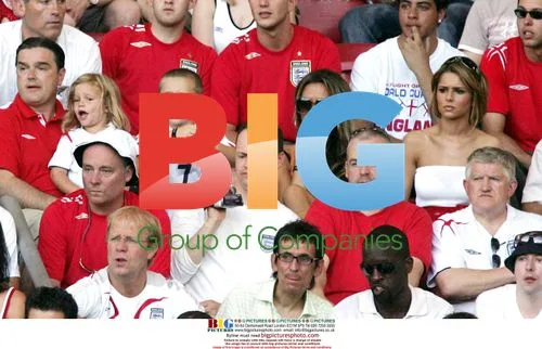 Beckham Family & Tweedy Watch England v Ecuador