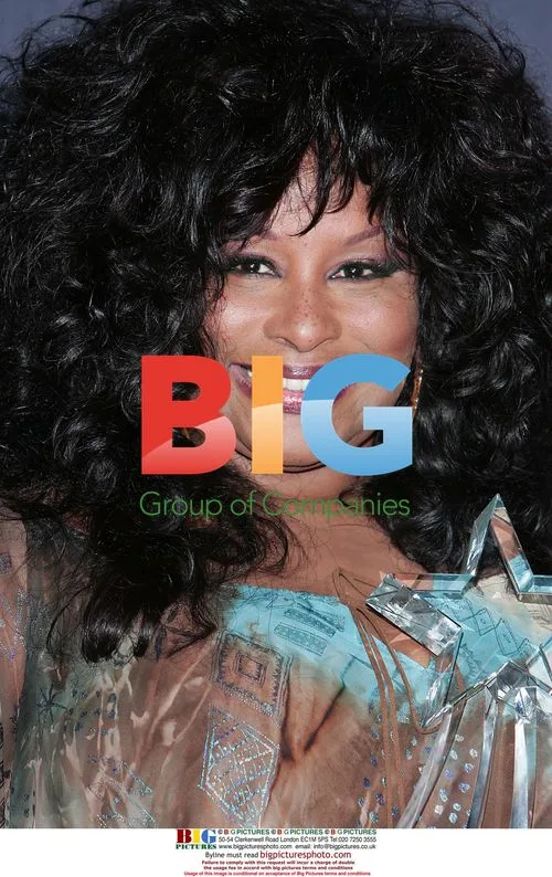 Singer Chaka Khan at 2006 BET Awards