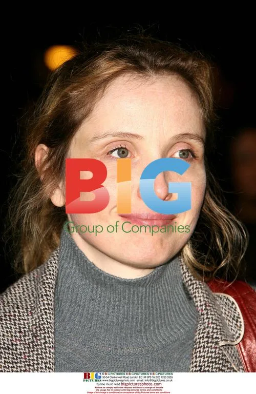 Julie Delpy at The Zodiac Premiere