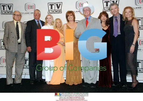 Dallas Cast Backstage at TV Land Awards