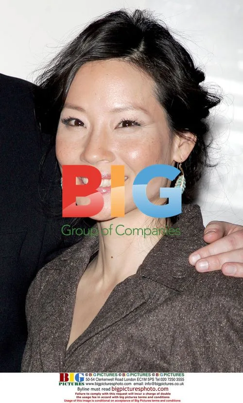 Lucy Liu at '3 Needles' Premiere