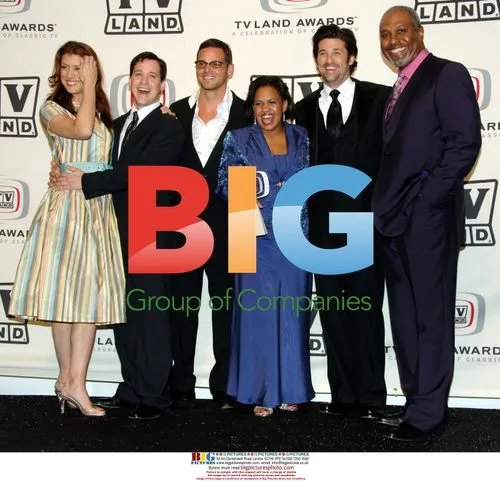Grey's Anatomy cast at TV Land Awards