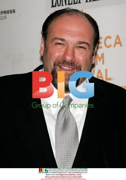 James Gandolfini at Lonely Hearts premiere