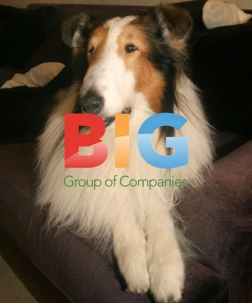 Lassie Promotes Dog Food in NYC