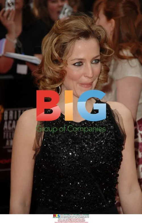 Gillian Anderson at 2006 British TV Awards