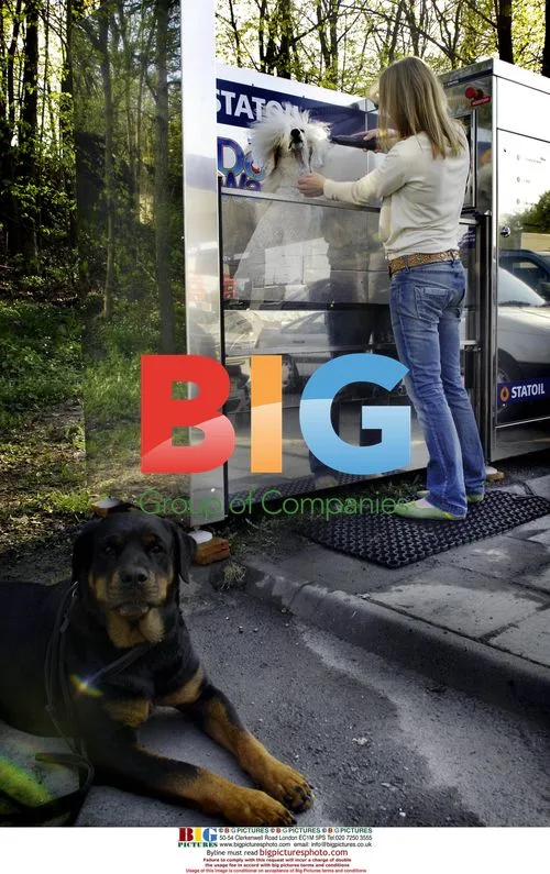 First Dog Wash Opens in Stockholm Petrol Station