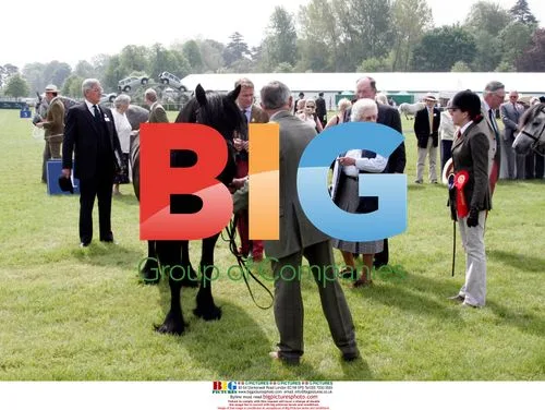 Queen Elizabeth at Royal Windsor Horse Show