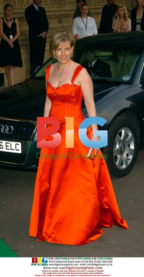 The Countess of Wessex at NSPCC Dream Auction