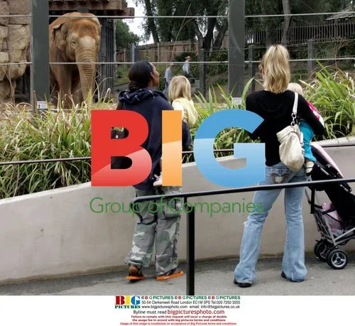 Denise Richards and daughters at the zoo