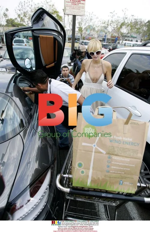 Paris Hilton Does Grocery Run in LA