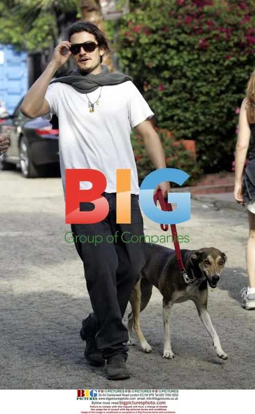 Orlando Bloom walks dog with friend in Hollywood