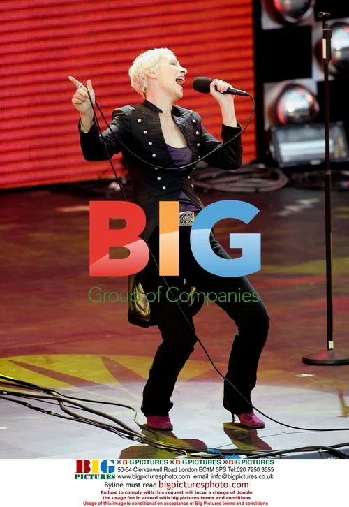 Annie Lennox at Prince's Trust 30th Anniversary