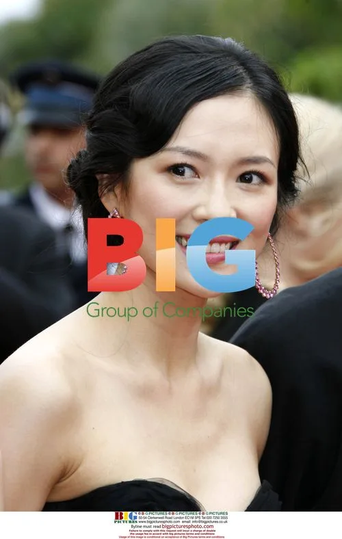 Ziyi Zhang at 'Babel' Cannes Premiere