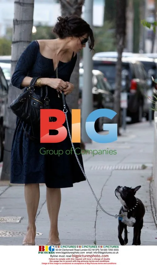 Famke Janssen walks dog in couture dress