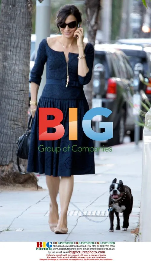 Famke Janssen walks dog in couture dress