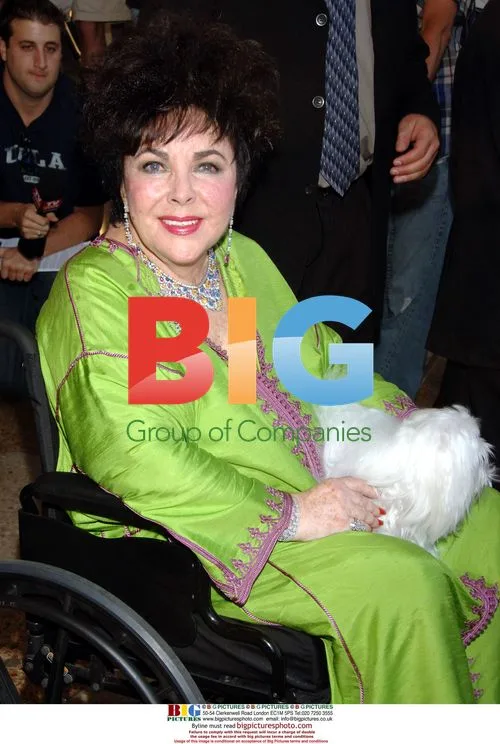 Elizabeth Taylor Leaves CNN Studios