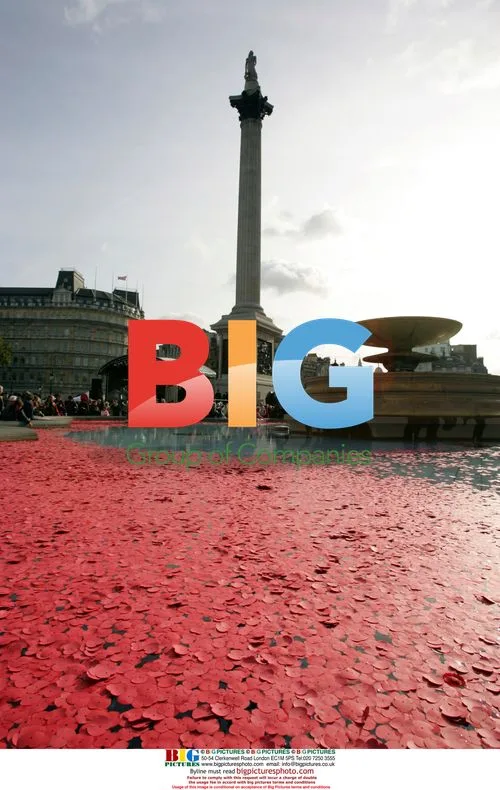 Two Minutes Silence for Remembrance Day in Trafalgar Square