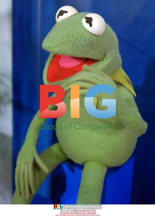 Muppet Kermit the Frog at Smithsonian Exhibit