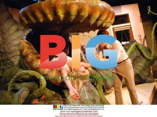 The Little Shop Of Horrors musical production