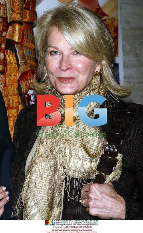 Candice Bergen at 'Curse of the Golden Flower' premiere