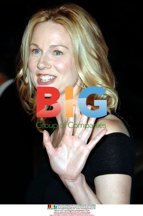 Laura Linney at 'Man of the Year' premiere